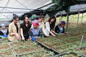 Các Hoa hậu, Á hậu Việt đến thăm vườn sâm Lai Châu tại bản Sin Chải, xã Giang Ma, huyện Tam Đường