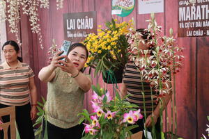 Không gian trưng bày hoa lan Lai Châu thu hút du khách trong Giải vô địch quốc gia Marathon và cự ly dài Báo Tiền Phong lần thứ 64 năm 2023
