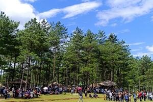 Thông Lâm bản Chít - điểm du lịch mới trên bản đồ du lịch Lai Châu