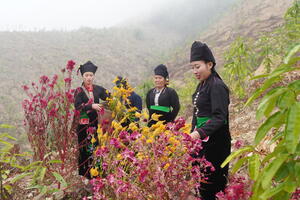 ĐỘC ĐÁO LỄ HỘI “ MÌN LOÓNG PHẠT” – VẺ ĐẸP VĂN HÓA NGƯỜI CỐNG GIỮA ĐẠI NGÀN LAI CHÂU