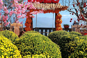 Cuối tuần có hẹn với Tam Đường Tea - Lai Châu