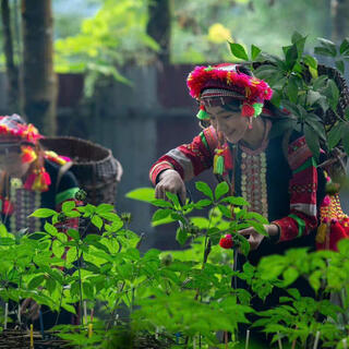 <a href="/tin-tuc-su-kien" title="TIN TỨC" rel="dofollow">Tin tức - Sự kiện</a>