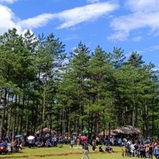 <a href="/du-lich" title="DU LỊCH" rel="dofollow">Du lịch</a>