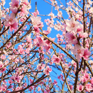 <a href="/du-lich" title="Du lịch" rel="dofollow">Du lịch</a>