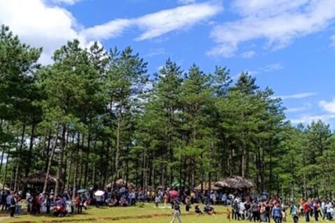 Thông Lâm bản Chít - điểm du lịch mới trên bản đồ du lịch Lai Châu